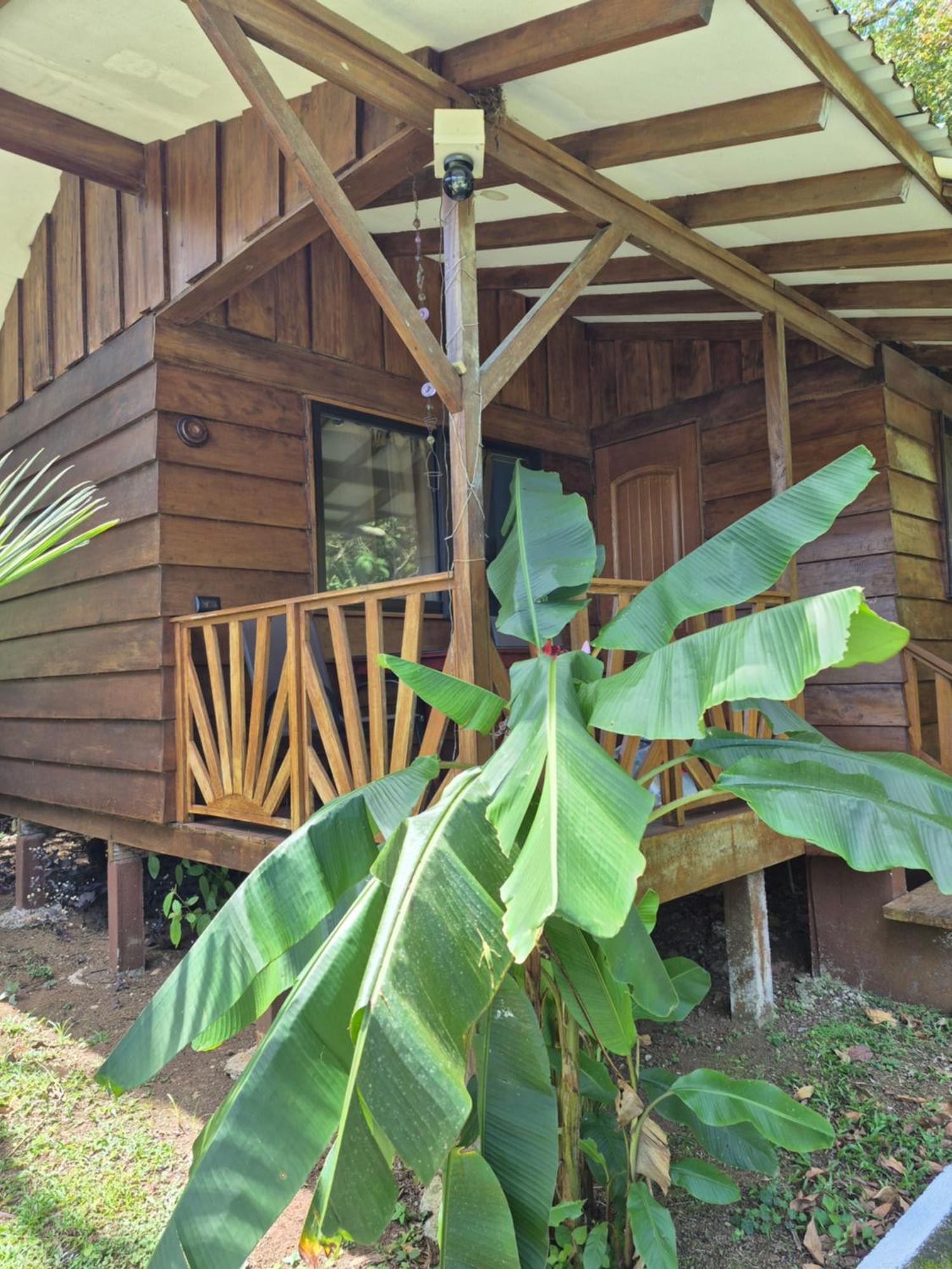 GuápilesCentro Ananda住宿加早餐旅馆 外观 照片