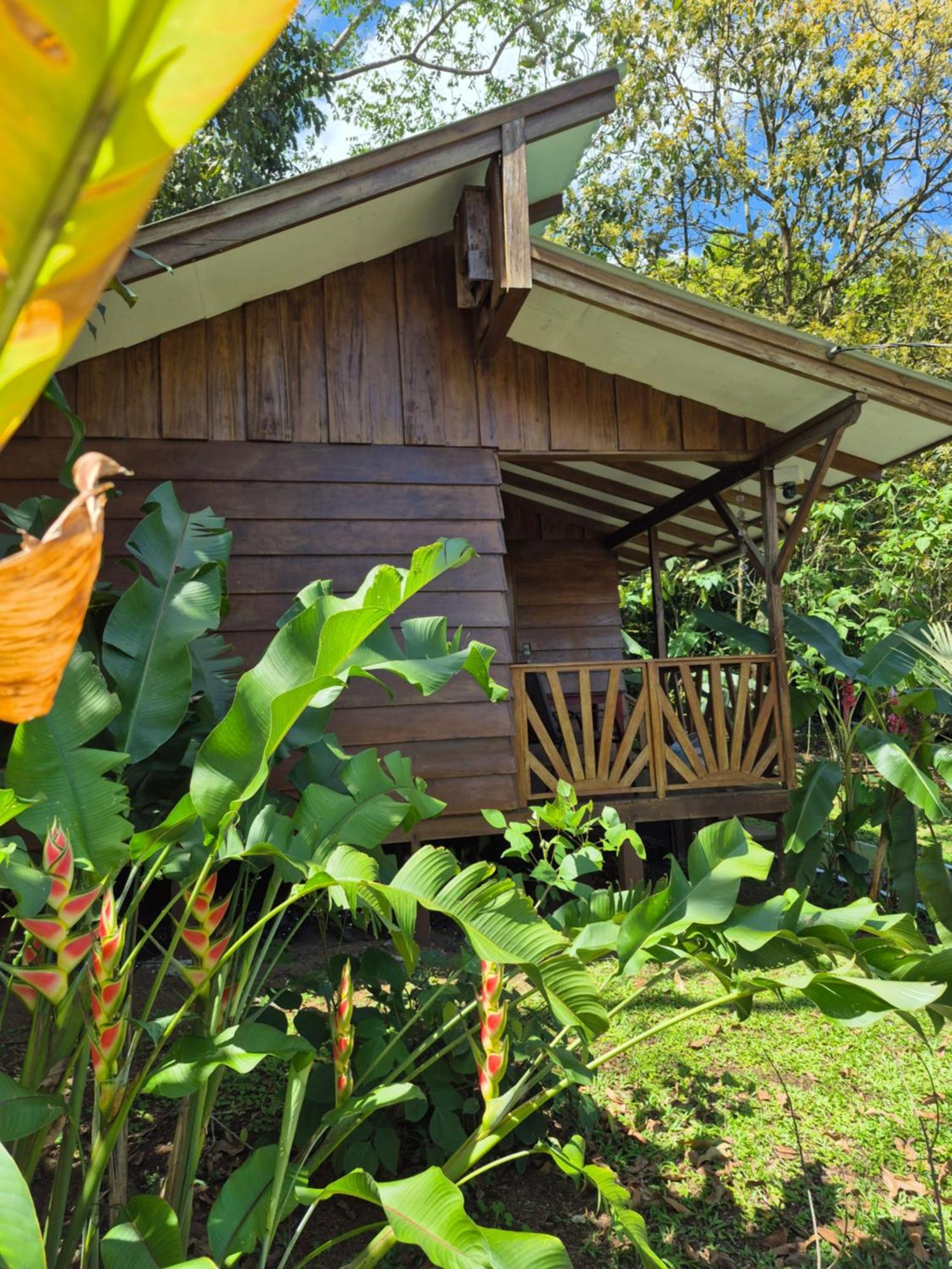 GuápilesCentro Ananda住宿加早餐旅馆 外观 照片